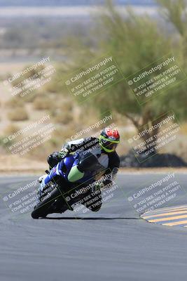 media/May-14-2023-SoCal Trackdays (Sun) [[024eb53b40]]/Turn 5 Tree of Life (1125am)/